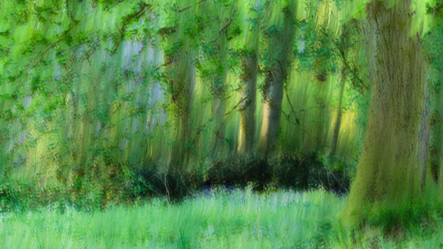 paysage
