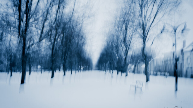 paysage